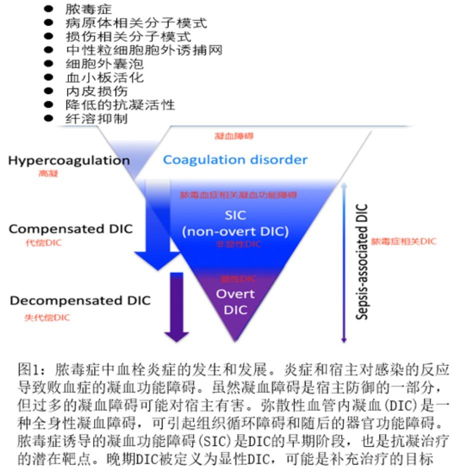 脓毒症相关DIC的病理生理、诊断和治疗