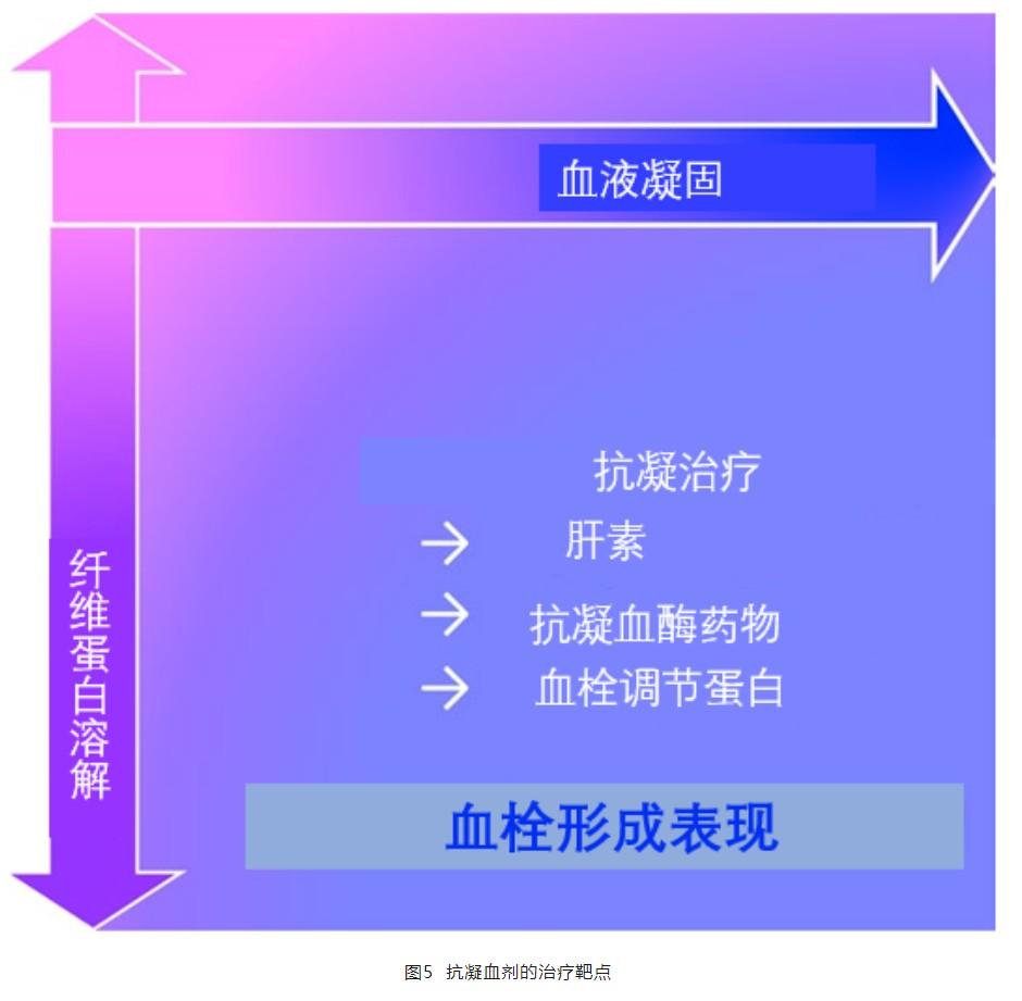 脓毒症相关DIC的病理生理、诊断和治疗