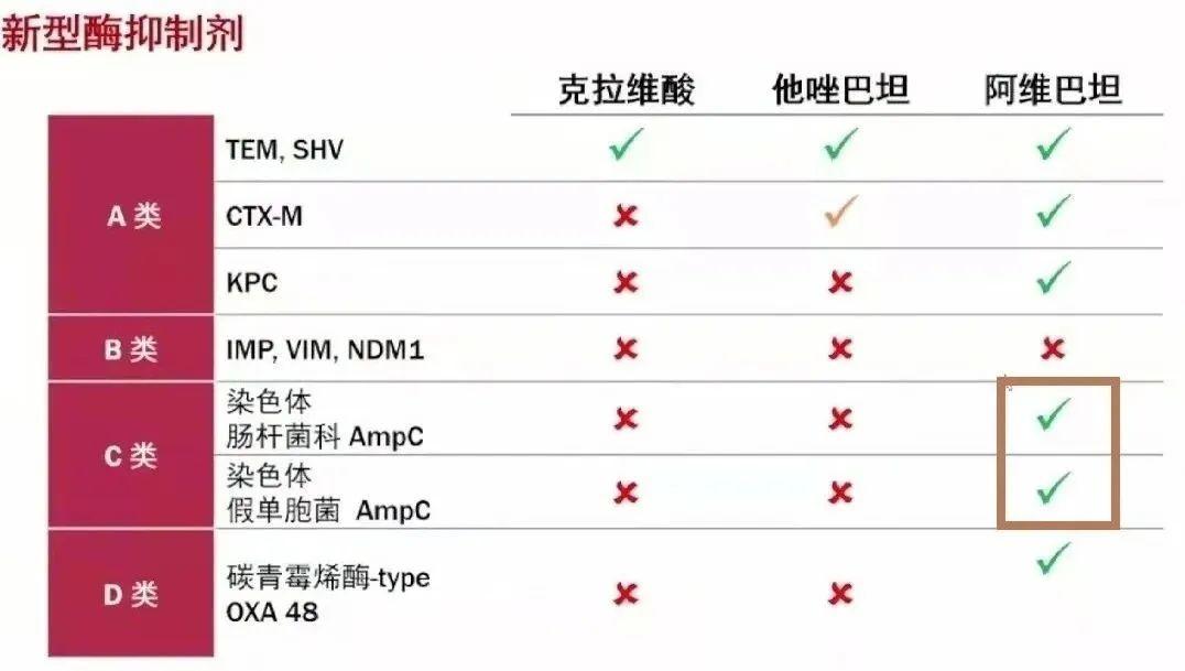 头孢他啶/阿维巴坦临床应用要点速记 | 合理用药