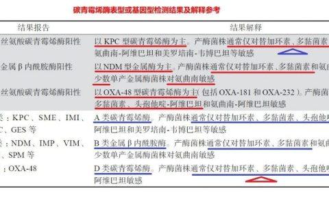碳青霉烯酶的表型或基因型及其所代表的意义 | 重要图表