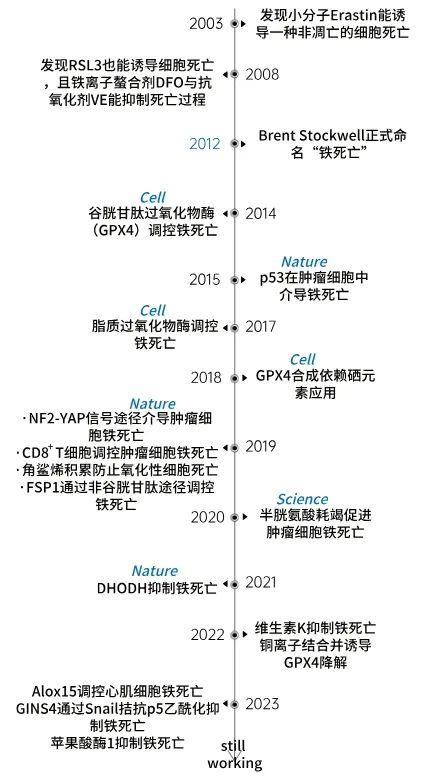 细胞死亡大盘点——铁死亡
