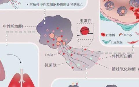 中性粒细胞外陷阱在脓毒症发生机制中的研究进展