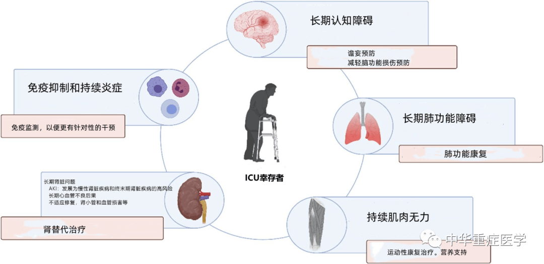 慢性危重症和重症监护后综合征：从病理生理学到临床挑战