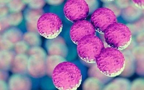 β-内酰胺类抗生素/β-内酰胺酶抑制剂复方制剂临床应用专家共识（2020年版）