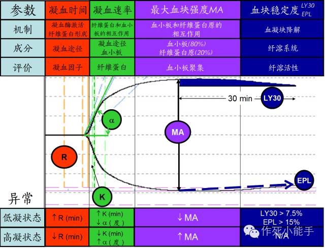 看完这篇总该看得懂血栓弹力图了吧~