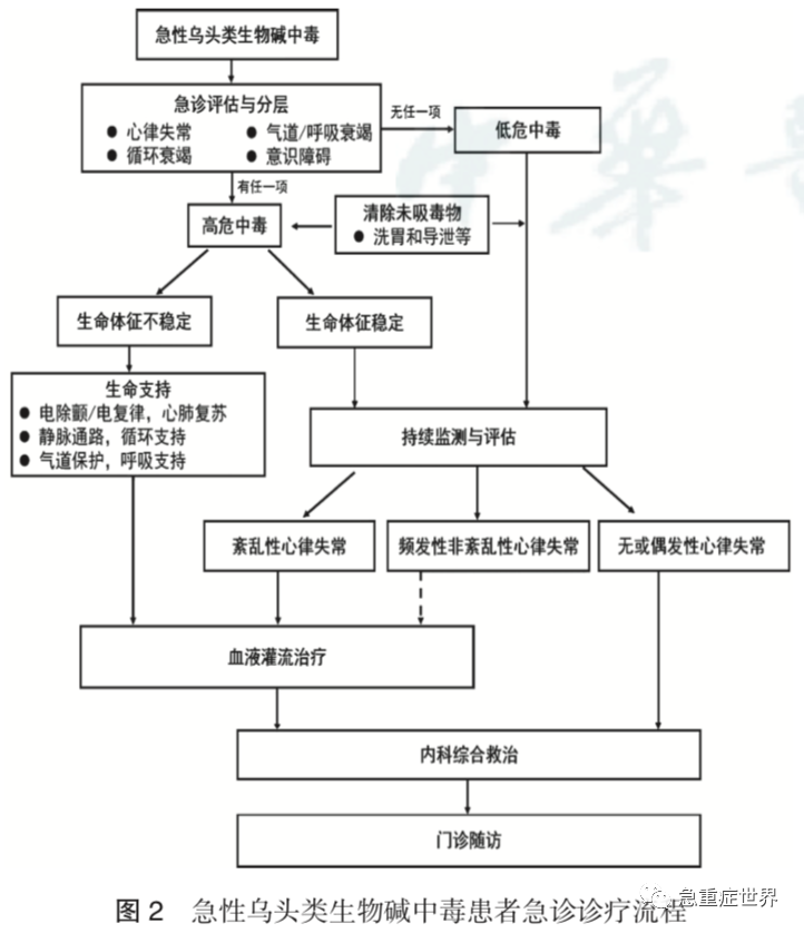 急性乌头类生物碱中毒诊治专家共识 急性乌头类生物碱中毒诊治专家共识