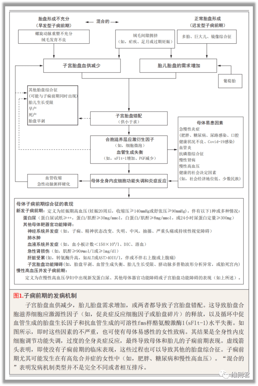 子痫前期 子痫前期