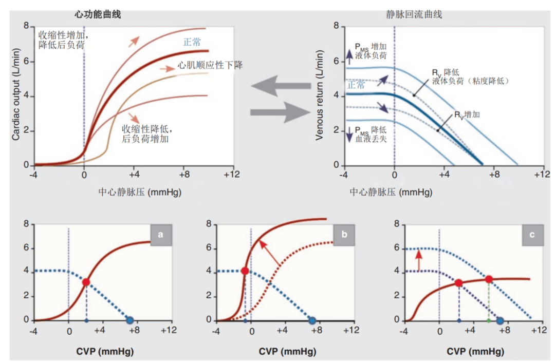 血流动力学基础:中心静脉压 血流动力学基础:中心静脉压