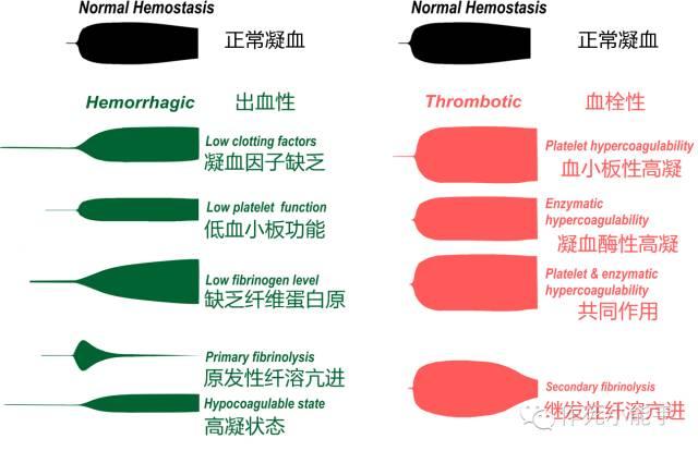 看完这篇总该看得懂血栓弹力图了吧~