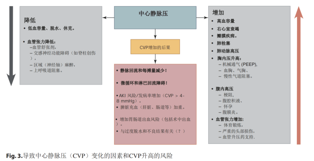 血流动力学基础:中心静脉压 血流动力学基础:中心静脉压