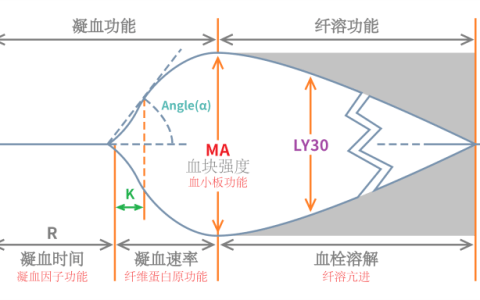 轻松读懂血栓弹力图