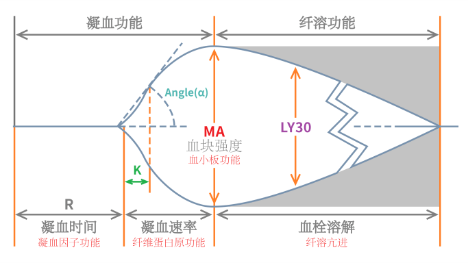 轻松读懂血栓弹力图 轻松读懂血栓弹力图