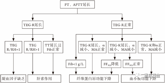 重症患者凝血功能障碍标准化评估中国专家共识 重症患者凝血功能障碍标准化评估中国专家共识
