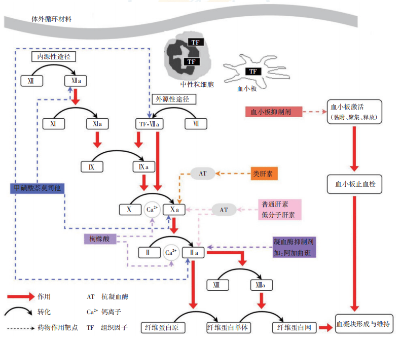 抗凝技术在危重症肾脏替代治疗应用的中国专家共识（2023年版）