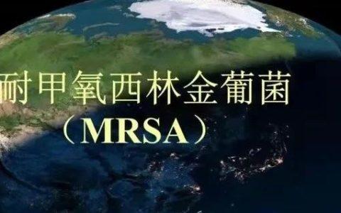 我如何处理MRSA菌血症患者