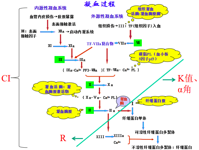 轻松读懂血栓弹力图 轻松读懂血栓弹力图