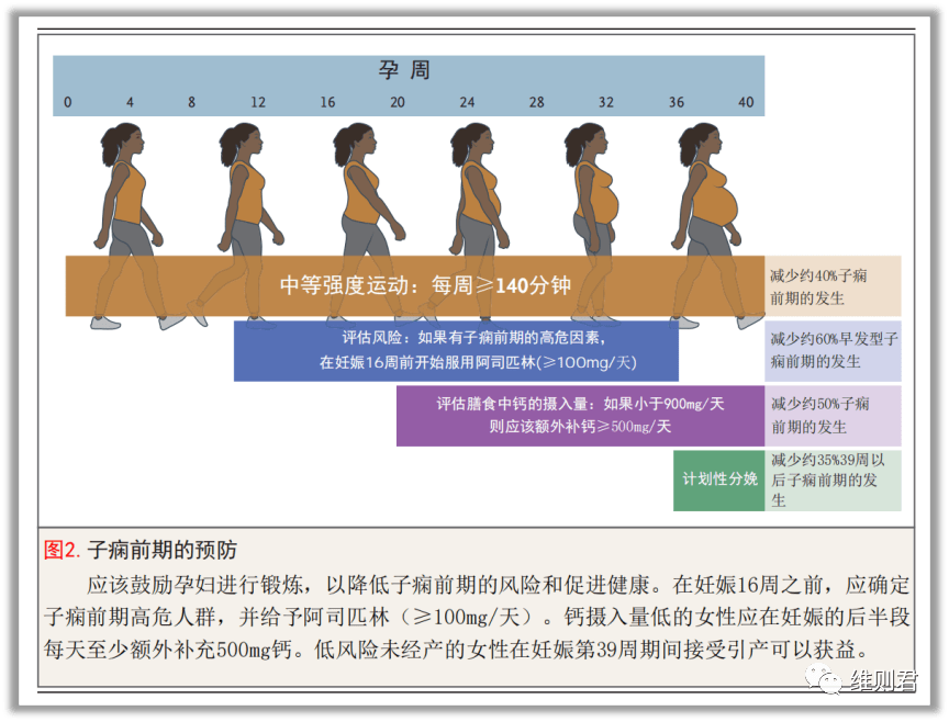 子痫前期 子痫前期
