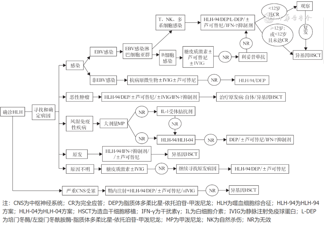 标准与规范 | 中国噬血细胞综合征诊断与治疗指南（2022年版）