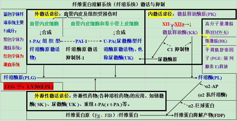 轻松读懂血栓弹力图 轻松读懂血栓弹力图