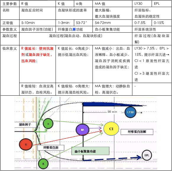 轻松读懂血栓弹力图 轻松读懂血栓弹力图