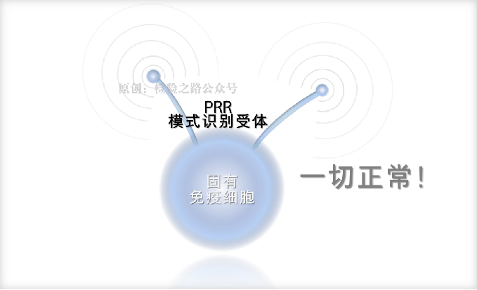 凝血知多少‖秒懂‘免疫血栓’之NETs