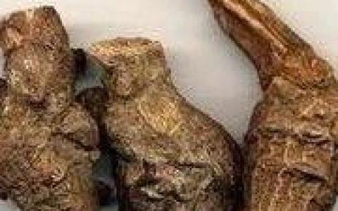 急性乌头类生物碱中毒诊治专家共识2022