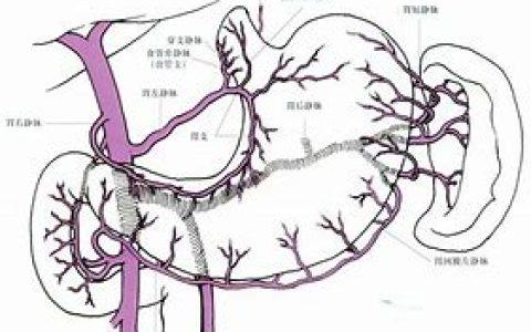 孕产妇腹痛与 子痫前期和HELLP综合征