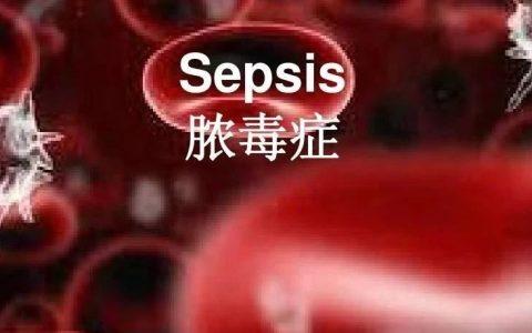 脓毒症：持续炎症-免疫抑制-分解代谢综合征（PICS）