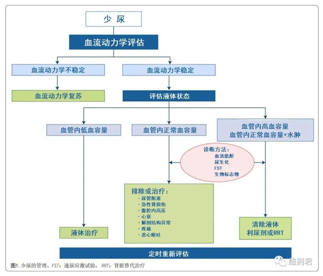 少尿的管理