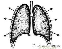 第142期 呼吸力学-从基础到临床 第142期 呼吸力学-从基础到临床