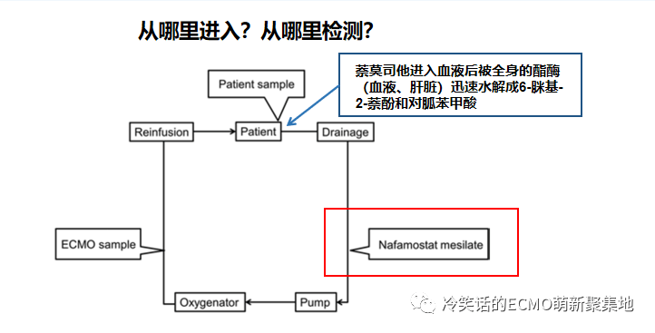 ECMO抗凝-每天半小时轻松学会独立管理ECMO ECMO抗凝-每天半小时轻松学会独立管理ECMO