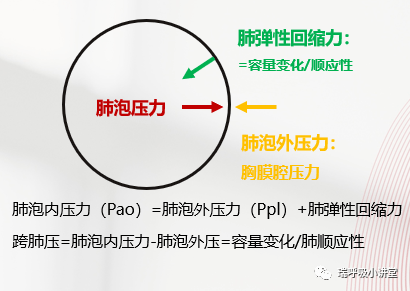 模式相关知识第二讲--肺泡压与跨肺压 模式相关知识第二讲--肺泡压与跨肺压