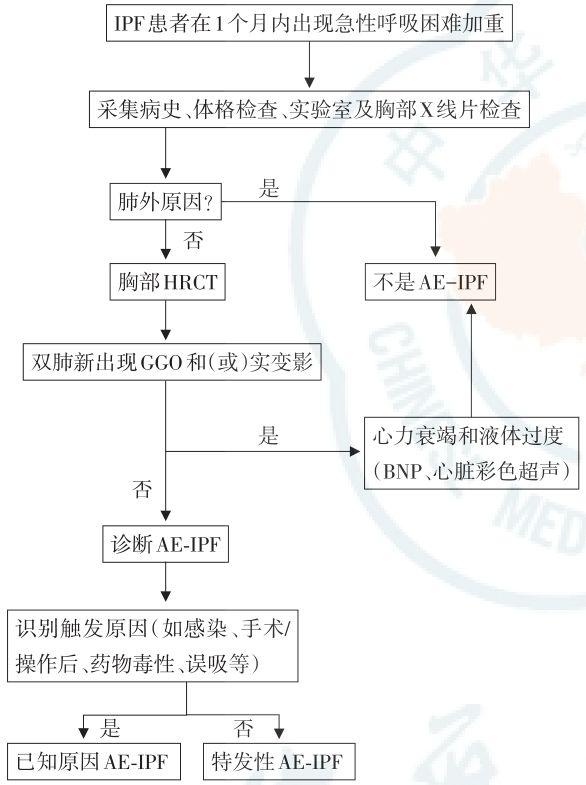 【指南速览】特发性肺纤维化急性加重诊断和治疗中国专家共识 【指南速览】特发性肺纤维化急性加重诊断和治疗中国专家共识