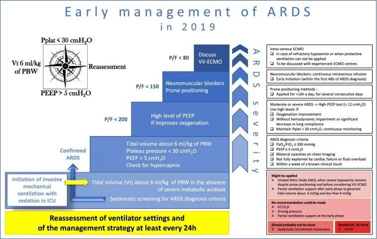 余荷：ARDS表型与个体化治疗