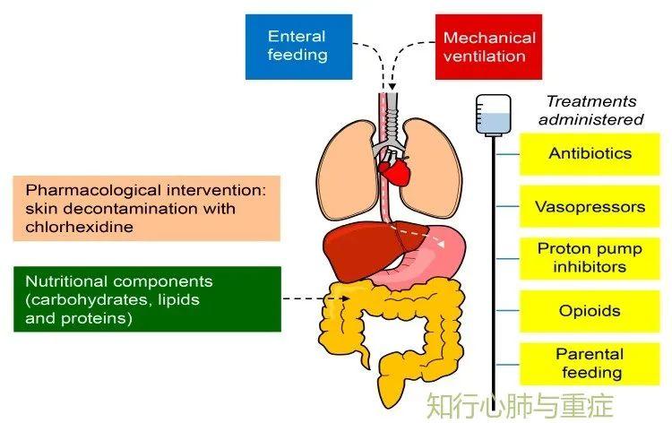 ARDS的诊断、病理生理学及治疗策略