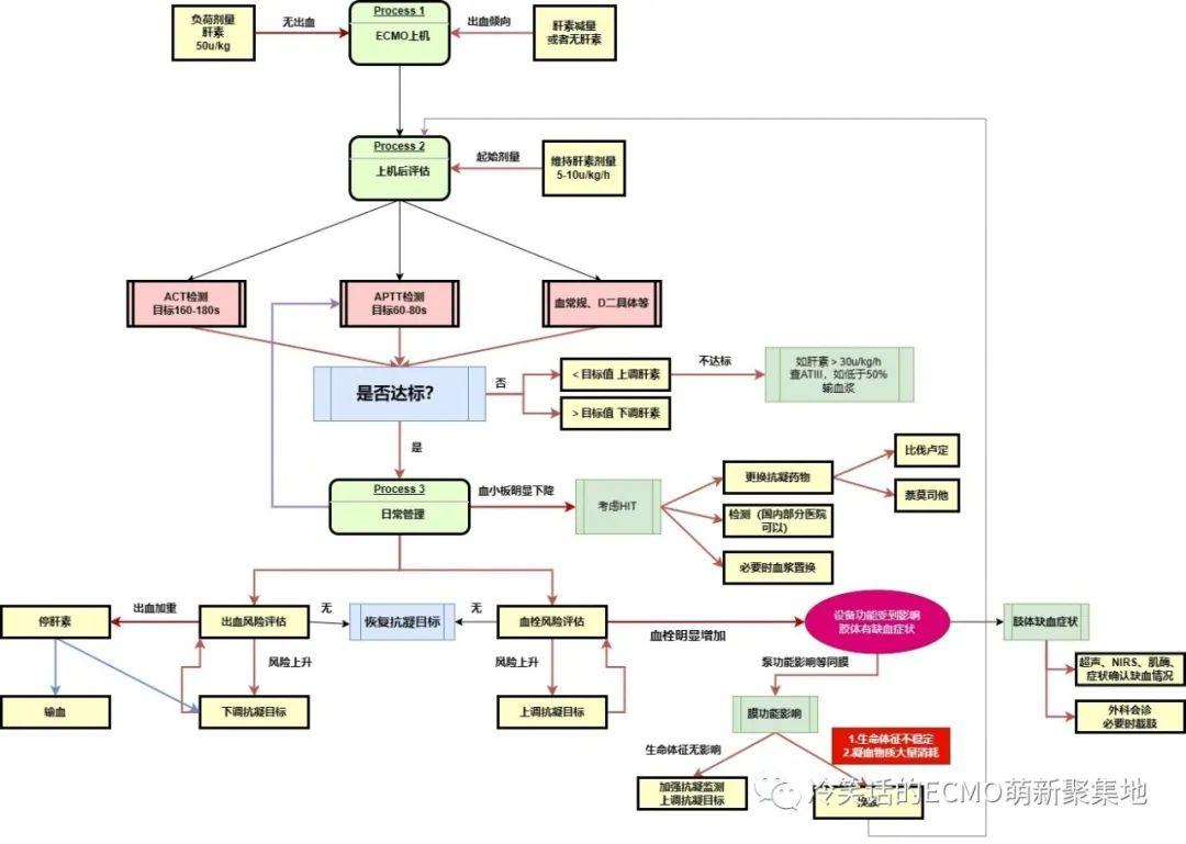 ECMO抗凝-每天半小时轻松学会独立管理ECMO ECMO抗凝-每天半小时轻松学会独立管理ECMO