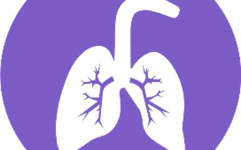 呼吸力学导向的ARDS个体化通气策略