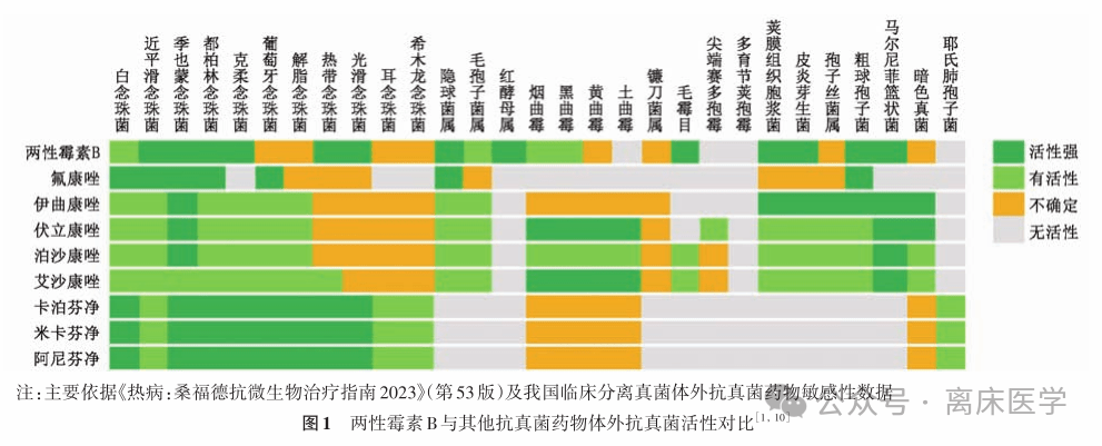 两性霉素B不同剂型临床合理应用多学科专家共识 2024 第1部分 两性霉素B不同剂型临床合理应用多学科专家共识 2024 第1部分