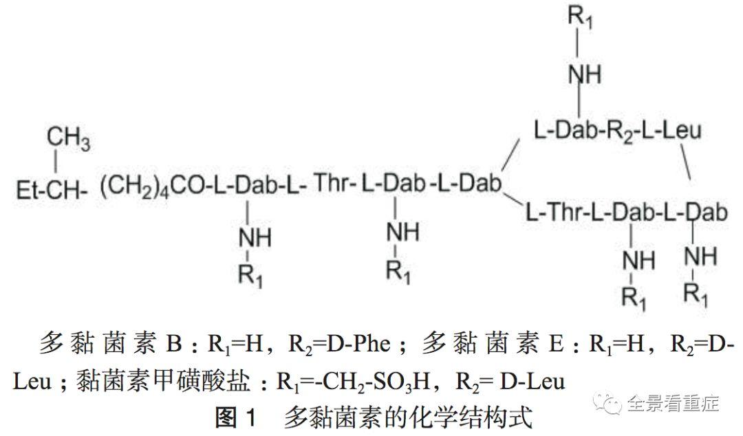 多黏菌素临床应用中国专家共识