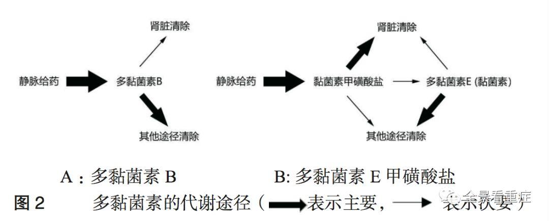 多黏菌素临床应用中国专家共识