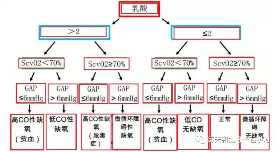 重症疾病之急性呼吸窘迫综合征（十一）-ARDS的治疗-01-支持治疗-血流动力学监测