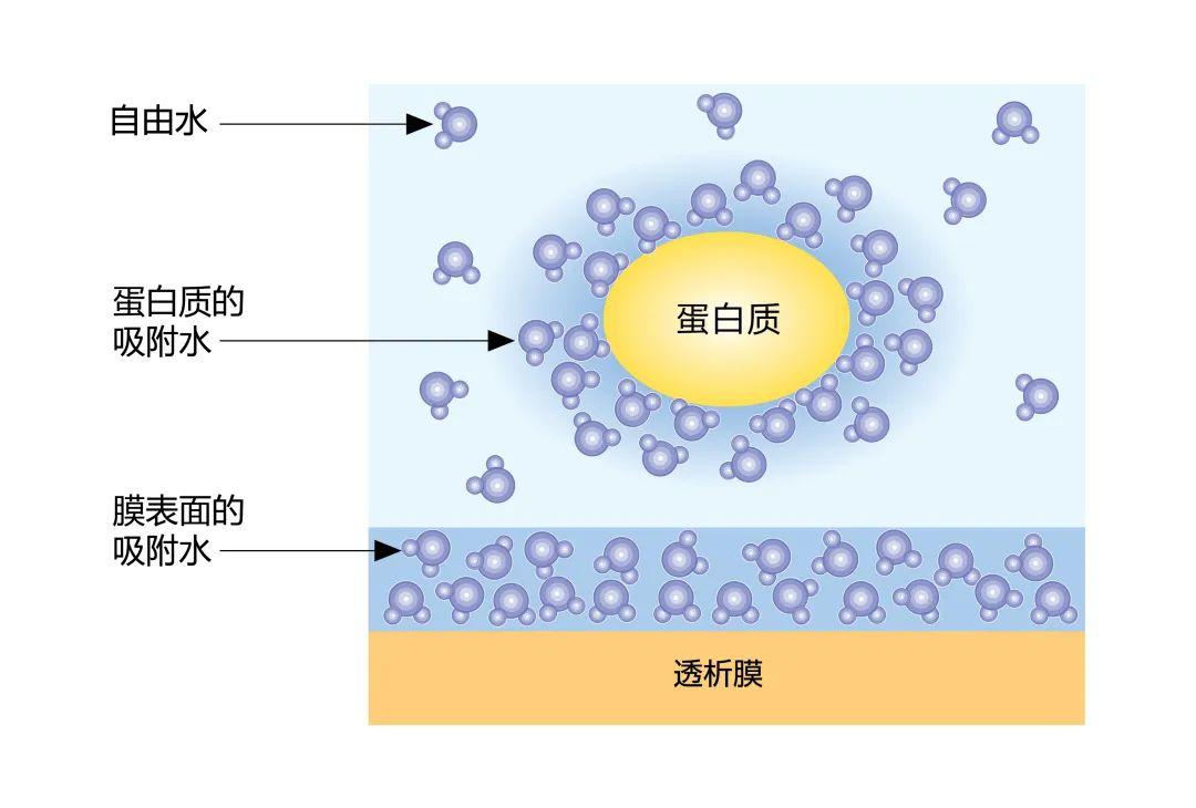 Prof.Q讲堂丨一文带你认识透析器的不同种类