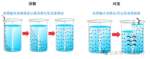 楚雄长生肾脏病医院：普通血液透析、高通量血液透析、血液透析滤过，您知道怎么选吗？