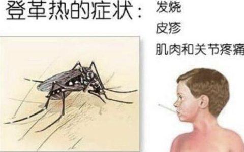 中国登革热临床诊断和治疗指南 2018