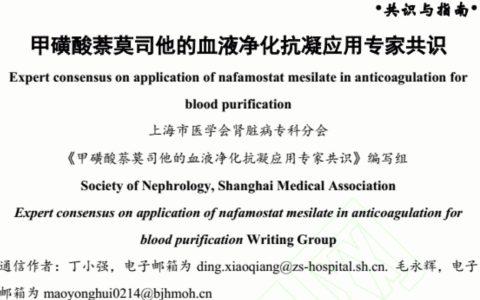 甲磺酸萘莫司他的血液净化抗凝应用专家共识 2024