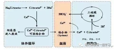 重症技术之血液净化（十一）-血液净化技术-CRRT处方-抗凝-枸橼酸盐抗凝