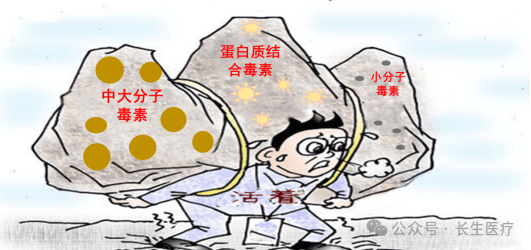 楚雄长生肾脏病医院：普通血液透析、高通量血液透析、血液透析滤过，您知道怎么选吗？