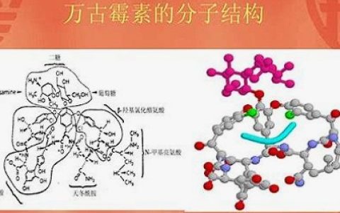万古霉素个体化给药临床药师指引 2015