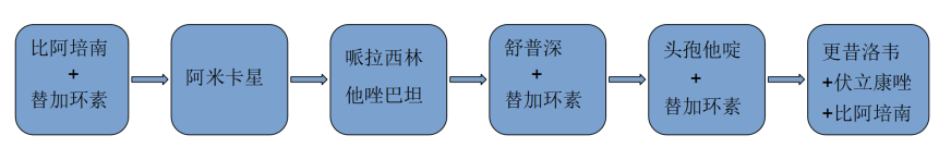 新形势·新思考丨多学科专家共话CRO感染治疗新策略