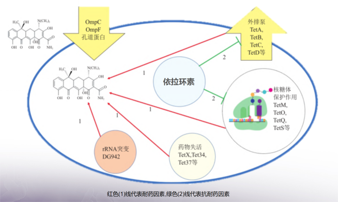 新形势·新思考丨多学科专家共话CRO感染治疗新策略